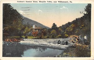 Cochran's Summer Home, Mosquito Valley Williamsport, Pennsylvania PA Postcards