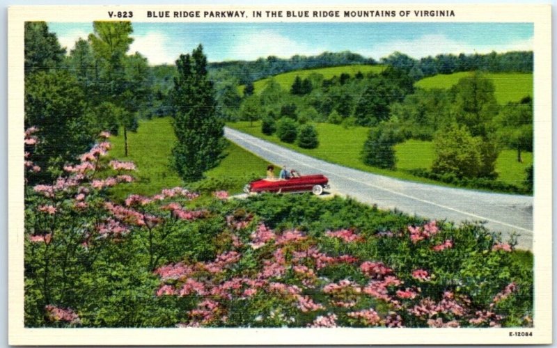 Postcard - Blue Ridge Parkway, In The Blue Ridge Mountains Of Virginia 