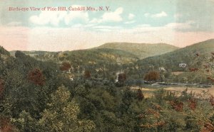 Vintage Postcard Birds Eye View Pine Hill Attraction Catskill Mountains New York