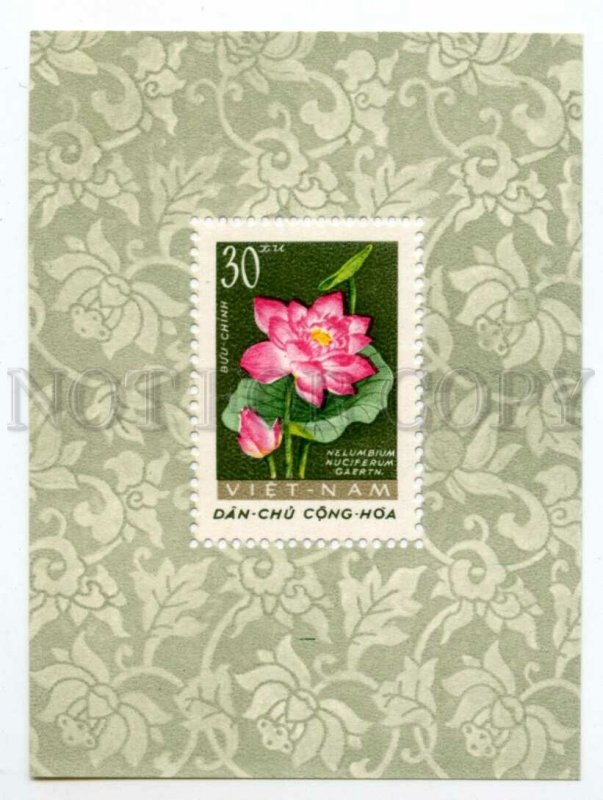 501415 VIETNAM 1962 year Flower Souvenir sheet