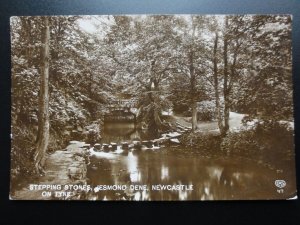 Newcastle on Tyne: Stepping Stones, Jesmond Dene RP c1913 - Pub by EAS