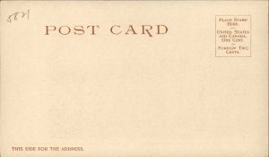 New Orleans LA Cotton Industry #5821 c1901 Detroit Publishing Postcard