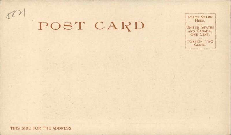 New Orleans LA Cotton Industry #5821 c1901 Detroit Publishing Postcard