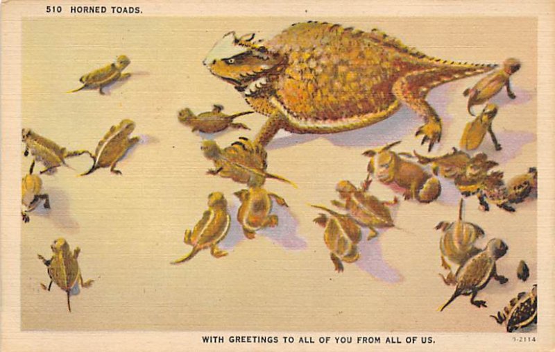 Horned Toads Frogs Unused 