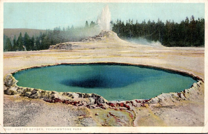 Yellowstone National Park Castle Geyser Detroit Publishing