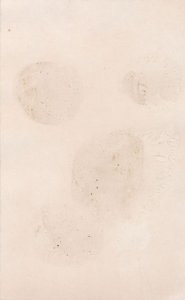 Pretty Lady with Umbrella - Victorian Trade Card