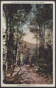 White Mountains National Forest,NH Postcard