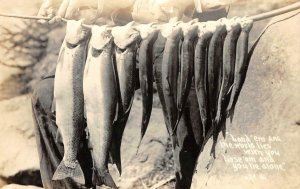 RPPC Fishing Land 'em String of Fish Patterson Photo c1940s Vintage Postcard