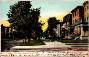 Street View, 3rd Third Avenue, Louisville KY c1906 UDB Vintage Postcard Q77