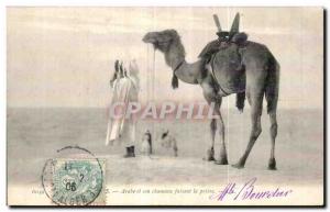 Old Postcard Algeria Arab and his camel making prayer Camel