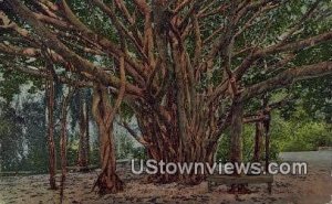 Honolulu, Hawaii, HI,