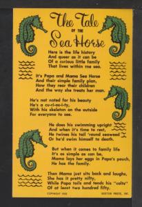 Tale of the Sea Horse Postcard 