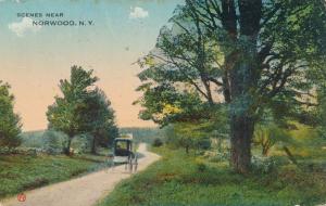 Horse and Buggy Scene near Norwood St. Lawrence County NY New York pm 1914 - DB