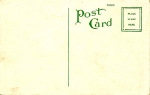 LA - New Orleans. City Park, Swan Lake