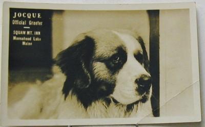 K980    MOOSEHEAD LAKE, ME.  REAL PHOTO    POSTCARD,   SQ...