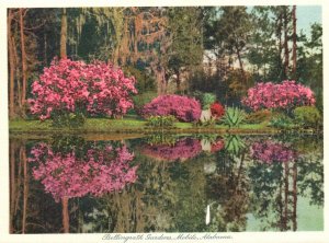 Vintage Postcard Bellingrath Gardens Colorful Landscape Mobile Alabama AL