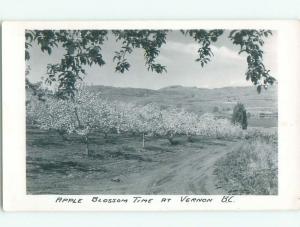 Pre-1962 rppc NICE VIEW Vernon British Columbia BC W1023