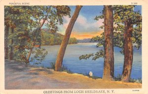 Greetings from Loch Sheldrake New York  