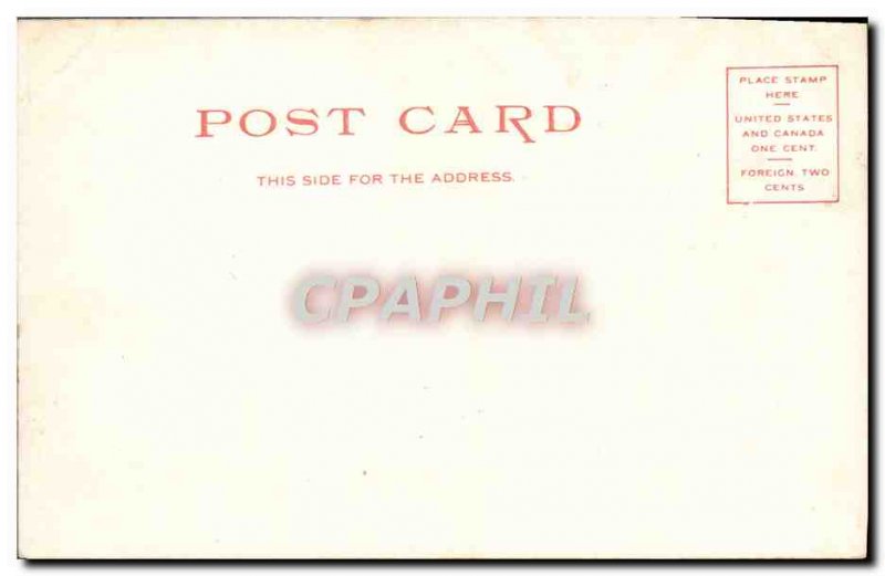 Old Postcard A Florida Landscape