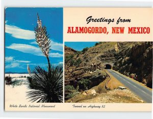 M-113077 Greetings from Alamogordo New Mexico USA