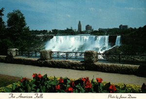 The American Falls as Seen From Victoria Park,Niagara Falls,Ontario,Canada BIN