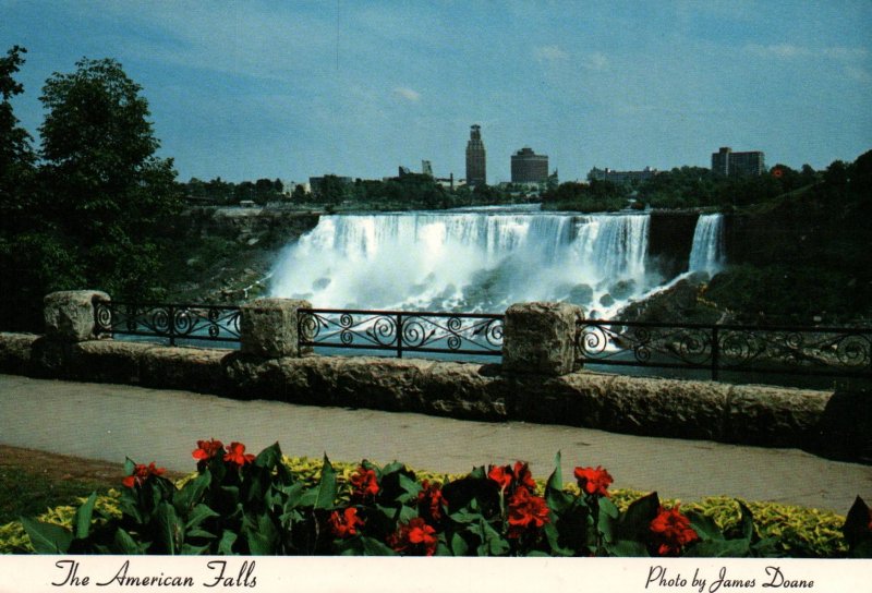 The American Falls as Seen From Victoria Park,Niagara Falls,Ontario,Canada BIN