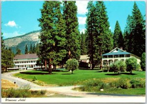 Wawona Hotel Yosemite National Park California CA Pines And Grounds Postcard