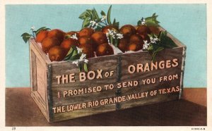 Vintage Postcard America's Best Grapefruit & Oranges Grow Texas Valley Gateway