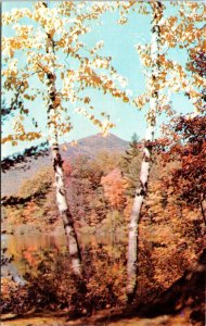 Picturesque Mt Chocorua Fall Colors White Mountains NH New Hampshire Postcard 