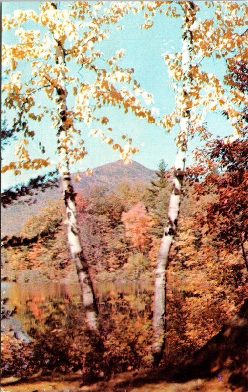 Picturesque Mt Chocorua Fall Colors White Mountains NH New Hampshire Postcard 