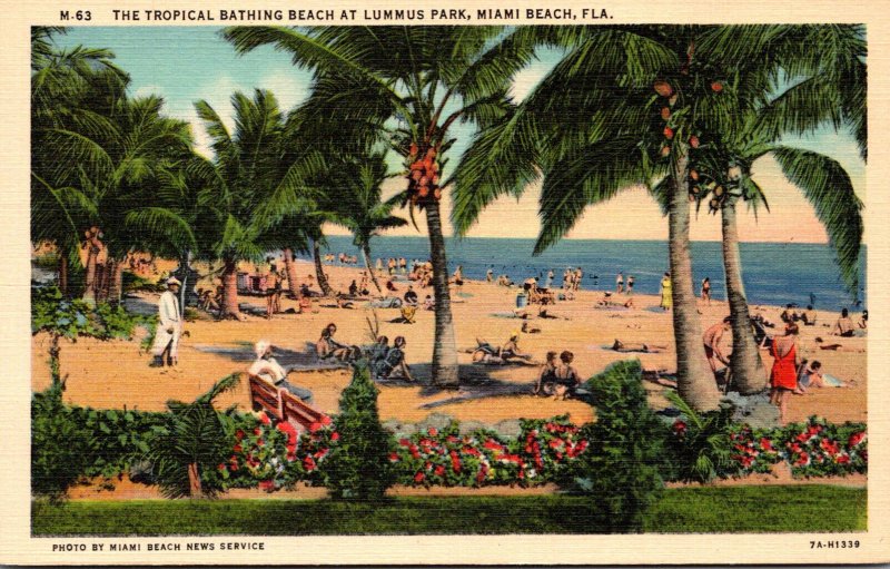 Florida Miami Beach Tropical Bathing Beach At Lummus Park Curteich