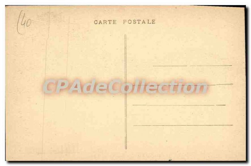 Postcard Old Capbreton Pines Bouret