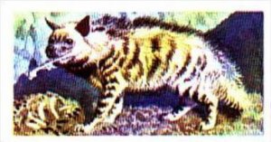 Brooke Bond Trade Card Asian Wildlife No 23 Striped Hyena