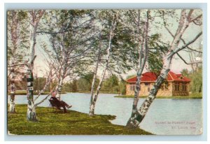 C. 1910-20's Lot of 12 St. Louis, MO. Postcards P177 