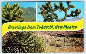 Greetings from TOHATCHI, NEW MEXICO  NM ~ McKinley County NAVAJO NATION Postcard