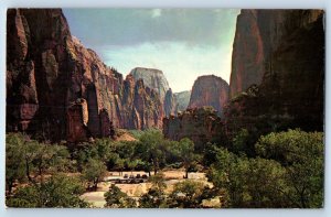 1960 Zion National Park Utah Postcard Temple Sinawava Temple Sculptured Cliffs