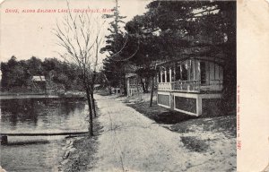 J73/ Greenville Michigan Postcard c1910 Drive Along Baldwin Lake  311