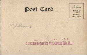 Largest Horse in World HIRAM Superlative c1905 UDB Postcard