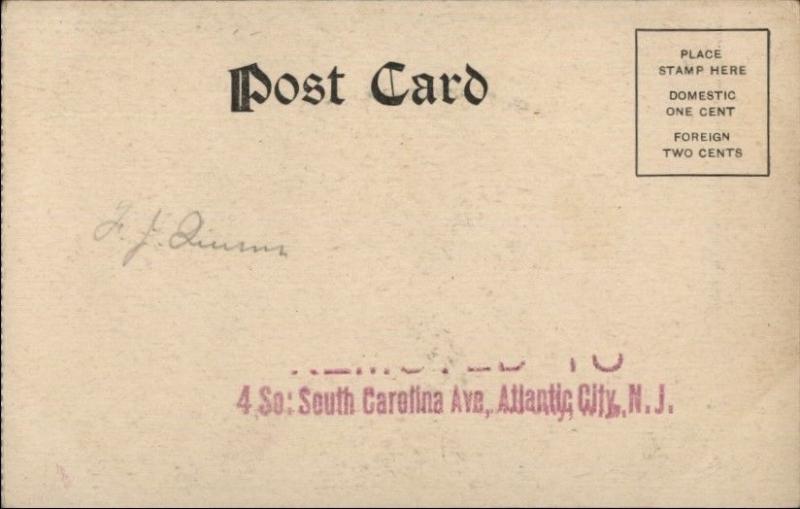 Largest Horse in World HIRAM Superlative c1905 UDB Postcard