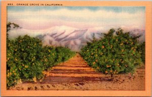 California Orange Grove and Snow Capped Mountains