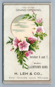 VICTORIAN TRADE CARD H.LEH & CO. DRY GOOD & SHOES ALLENTOWN PA antique