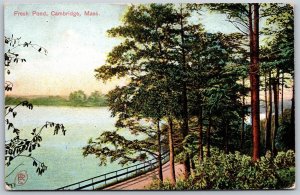 Vtg Cambridge Massachusetts MA Fresh Pond Lake Roadway 1909 View Old Postcard