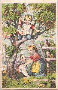 Charming Original Antique Victorian Trade Card - Children Picking Fruit