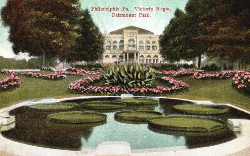 Vintage Postcard 1909 Victoria Regia Fairmount Park Philadelphia PA Pennsylvania