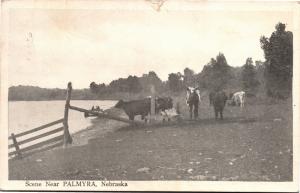 Cattle Pond Broken Fence Scene Near Palmyra Nebraska  Vintage Postcard H02