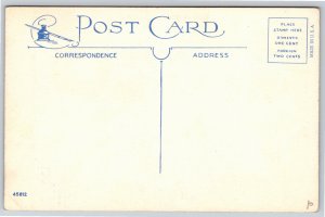 Catlin Illinois~View Along River from Shore~Linen Postcard