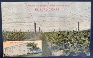 Mint Usa Advertising Picture Postcard Tobacco Growing Toro Cigars San Juan PR