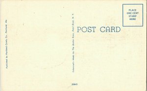 Swans Fountain Deerings Oaks Portland Maine Vintage Linen Postcard Dexter Press 
