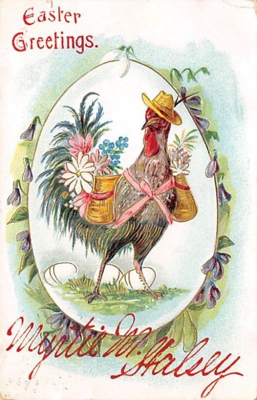 Easter Greetings Chicken 1909 