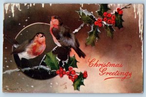 Wautoma WI Postcard Christmas Greeting Holly Berries Song Birds Oilette 1906